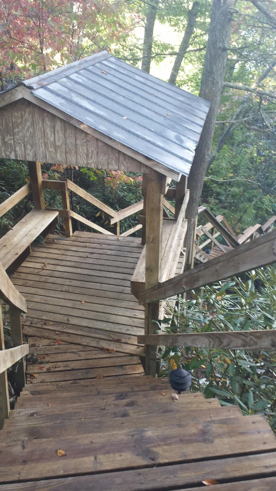 Metal roofed shelter over wooden steps on a wooded walkway in Pilot Mound