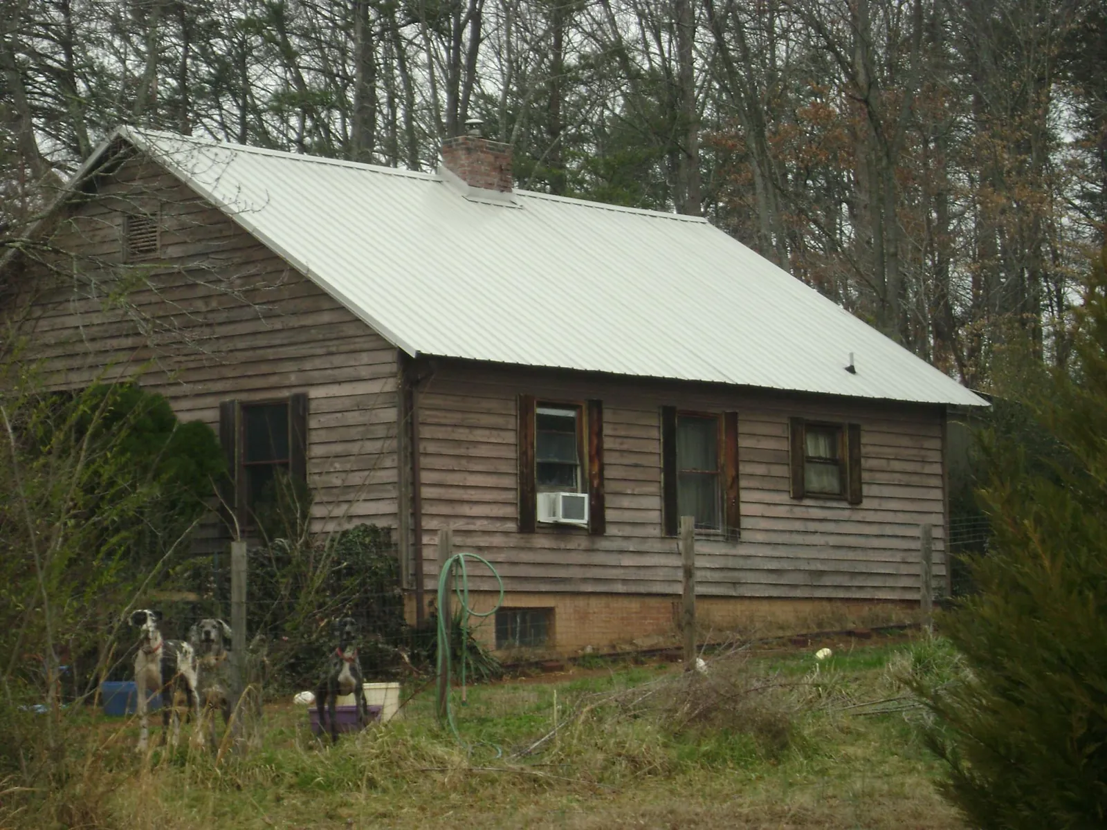 White metal roof on an old wood sided farmhouse, from a Asphalt Shingle Roof Repair job in Pilot Mound